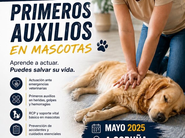 Primeros auxilios mascotas y bienestar animal. 